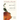 The Botany of Desire: A Plant's-Eye View of the World