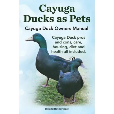 Cayuga Ducks as Pets. Cayuga Duck Owners Manual. Cayuga Duck Pros and Cons, Care, Housing, Diet and Health All Included.