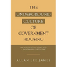 The Underground Culture of Government Housing: An Introspective Look into a Fascinating Subculture