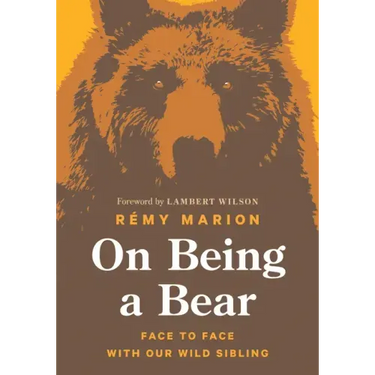 On Being a Bear: Face to Face with Our Wild Sibling