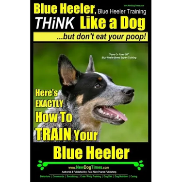Blue Heeler, Blue Heeler Training, Think Like a Dog, But Don't Eat Your Poop!: 'Paws on Paws Off' Blue Heeler Breed Expert Dog Training. Here's EXACTL
