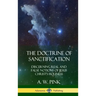 The Doctrine of Sanctification: Discerning real and false notions of Jesus Christ's Holiness (Hardcover)