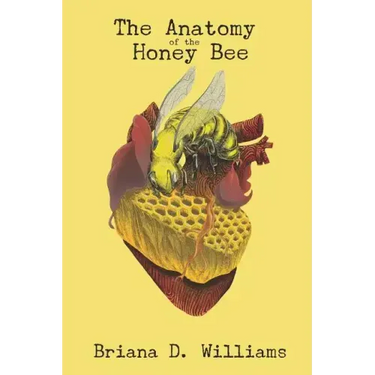 The Anatomy of the Honey Bee