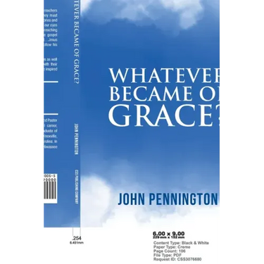 Whatever Became of Grace?: Stories of Hope for Preaching and Teaching in a Graceless World