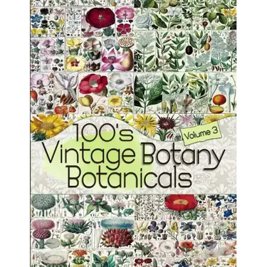 100's Vintage Botany Botanicals Volume 3