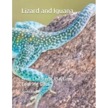 Lizard and Iguana: Brim Children's Playtime Coloring Book.