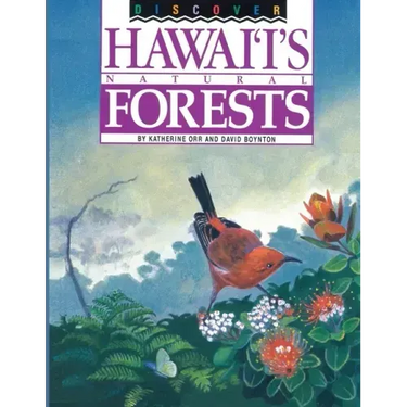Discover Hawaii's Natural Forests