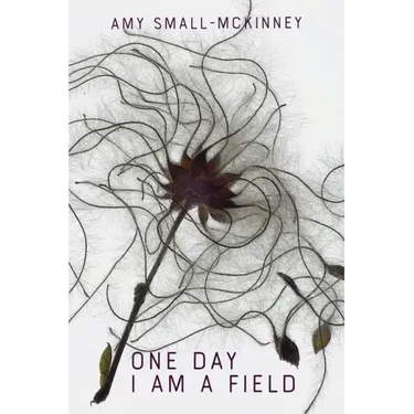 One Day I Am a Field