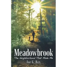 Meadowbrook: The Neighborhood That Made Me