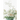 White Roses