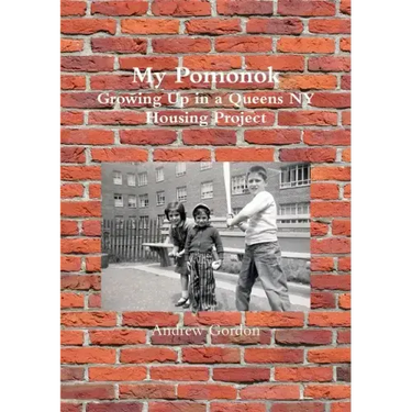My Pomonok: Growing Up in a Queens NY Housing Project
