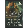 Rough Waves