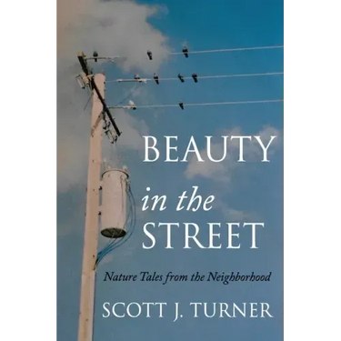 Beauty in the Street: Nature Tales from the Neighborhood