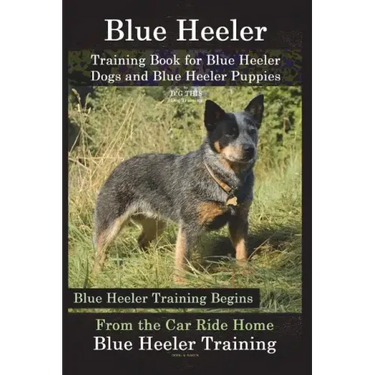 Blue Heeler Training Book for Blue Heeler Dogs and Blue Heeler Puppies By D!G THIS Dog Training: Blue Heeler Training Begins From the Car Ride Home Bl