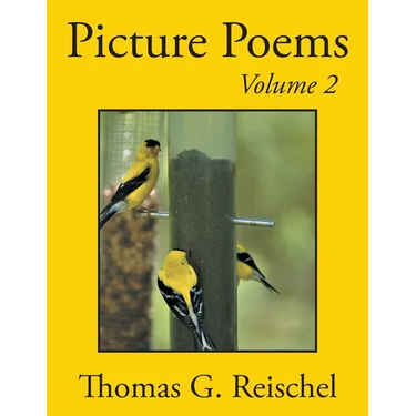 Picture Poems Volume 2