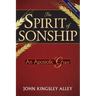 The Spirit of Sonship: An Apostolic Grace