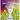The Little Llama Learns About Christmas: An illustrated children's book