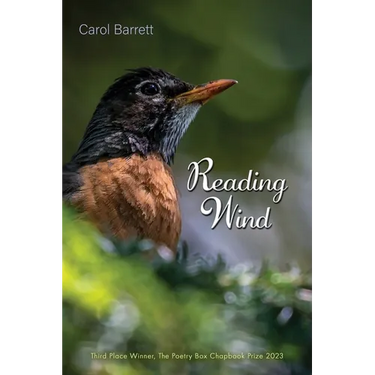 Reading Wind