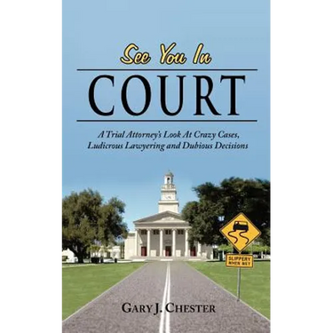 See You in Court: A Trial Attorney's Look at Crazy Cases, Ludicrous Lawyering and Dubious Decisions