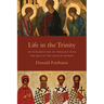 Life in the Trinity: An Introduction to Theology with the Help of the Church Fathers
