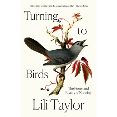 Turning to Birds: The Power and Beauty of Noticing