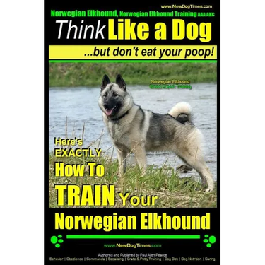 Norwegian Elkhound, Norwegian Elkhound Training AAA AKC Think Like a Dog But Don't Eat Your Poop! Norwegian Elkhound Breed Expert Training: Here's EXA