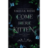 Come Here Kitten: Discreet Edition