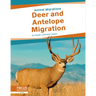 Deer and Antelope Migration