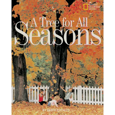Tree for All Seasons