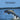 Alaska Game Fish and Panfish Species Kids Book: Great Book About the Different Types of Fish in Alaska