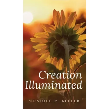 Creation Illuminated