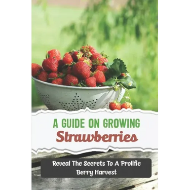 A Guide On Growing Strawberries: Reveal The Secrets To A Prolific Berry Harvest