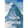 In the Shadow of the Mountain Level 5