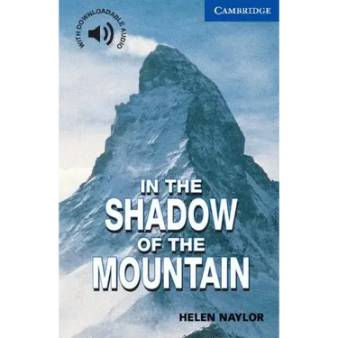 In the Shadow of the Mountain Level 5