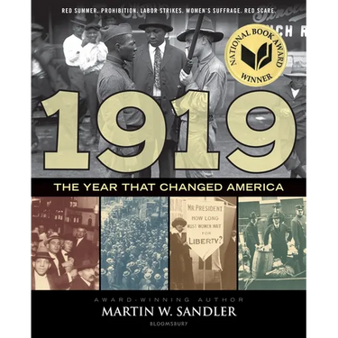 1919 the Year That Changed America