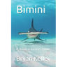 Bimini: A basic travelers guide
