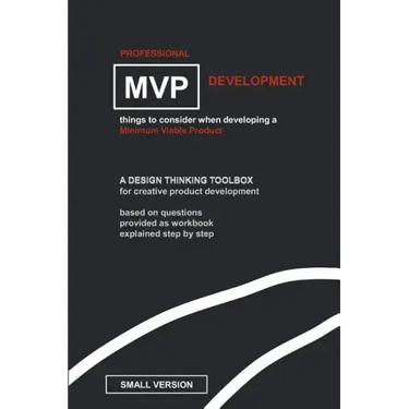 Professional MVP Development (SMALL EDITION): things to consider, developing a minimum viable product.