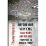 Before Our Very Eyes, Fake Wars and Big Lies: From 9/11 to Donald Trump