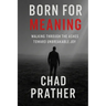 Born For Meaning: Walking Through The Ashes Toward Unbreakable Joy