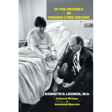 In the Crucible of Chronic Lyme Disease: Collected Writings & Associated Materials
