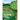 Nutmeg Village