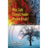 What Light Through Yonder Window Breaks?: More Experiments in Atmospheric Physics