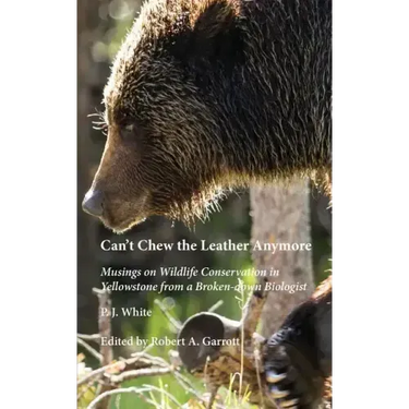 Can't Chew the Leather Anymore: Musings on Wildlife Conservation in Yellowstone from a Broken-down Biologist