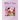 Who I Am: A Workbook for Developing Self-Awareness