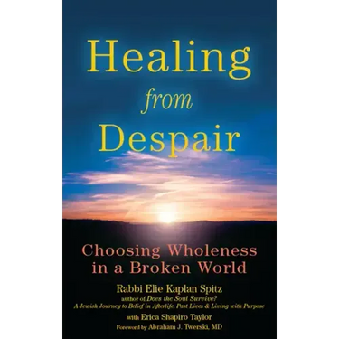 Healing from Despair: Choosing Wholeness in a Broken World