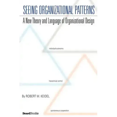Seeing Organizational Patterns