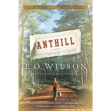 Anthill