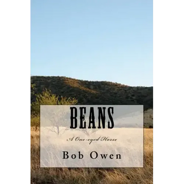 Beans: A One-eyed Horse