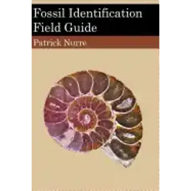 Fossil Identification Field Guide