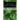The Devil's Elixir Complete